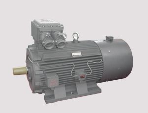 電機定期維護的內(nèi)容是什么呢?
