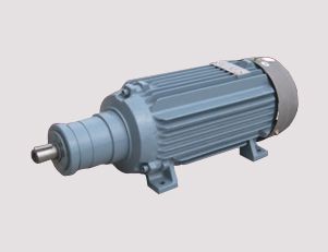 電機廠的高壓電機定期維護的內容是什么呢?